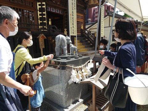 LINE_ALBUM_2022年5月28日 梅収穫_220530_121