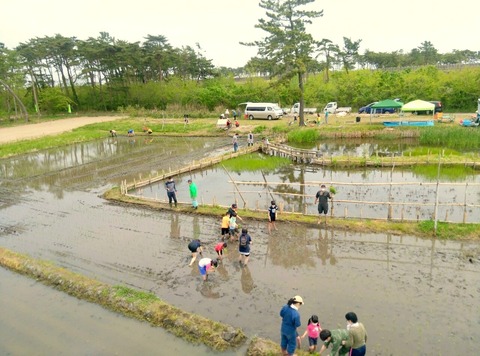 2020年5月16日 田植え_200518_0025