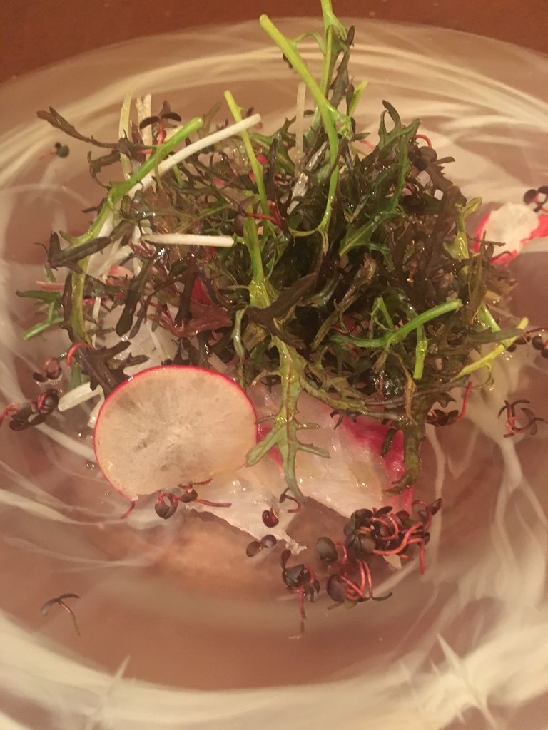 今週はホウボウのお料理です Bed便り