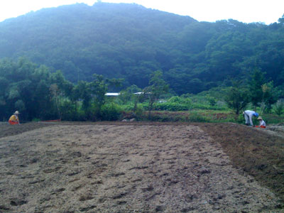 �̺������Ϥ����Ϥ���ä�