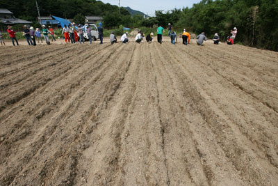 ��Ʀ��ܥ�塼�����in��ɲ������Į