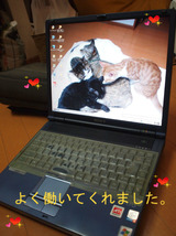 BlogPaint