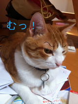 BlogPaint
