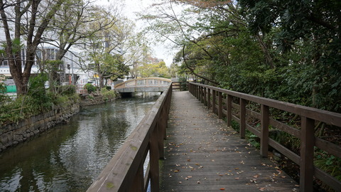 DSC06830