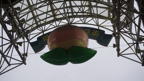 DSC06805