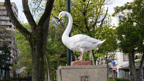 DSC06885