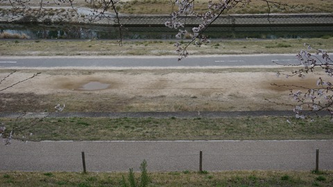 DSC06755