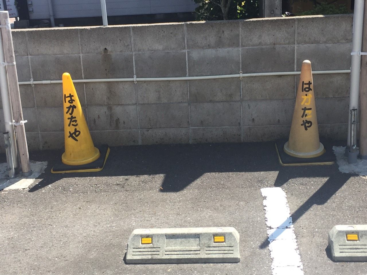 都城おすすめ店 トイ ストーリーだったら戦争になっちゃうね みやこのジョーカー 都城おすすめ店 トイ ストーリーだったら戦争になっちゃうね みやこのジョーカー