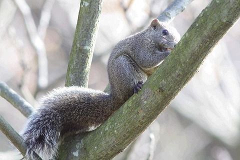19年07月13日 算数できないクワガタハンターのblog
