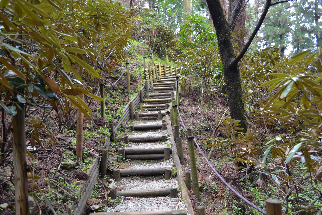 500年前の本が家計を整理し、富に導く