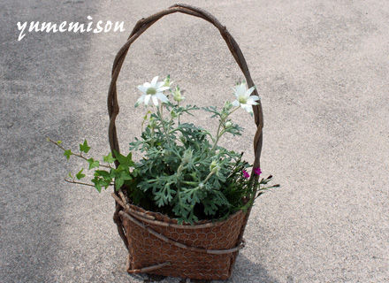 ハンドバック型プランターに寄せ植え