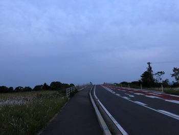 IMG_7692 copy
