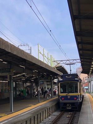 IMG_8154 copy