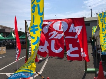 IMG_7693 copy