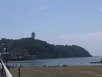 IMG_8146 copy
