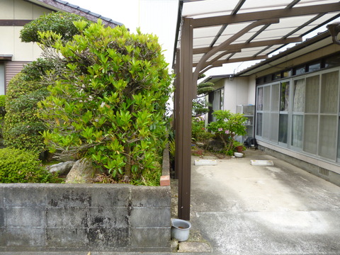 P1010316
