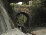 Ȭ¸Í¶¶08