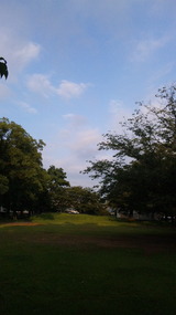 ２０１１夏の公園