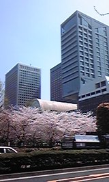 厚生労働省前H21.4