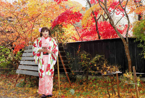 秋田角館10/紅葉