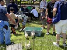 IMG_1946