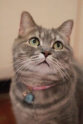 IMG_1220