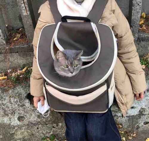 FullSizeRender