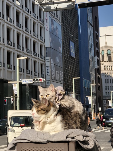 08C18512-0AE8-4EBC-85EF-734C8214F47A