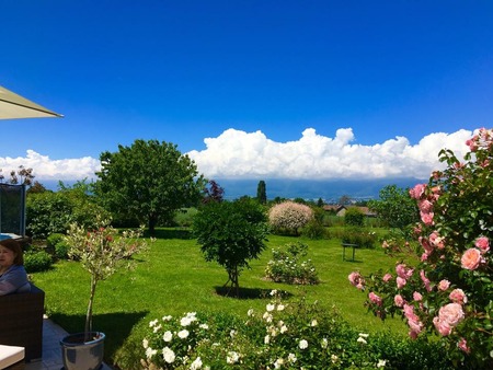 13418796_1220006828023838_2276726826909776952_n