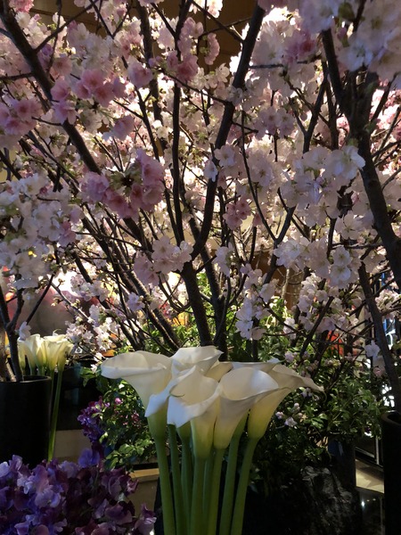 141AEE54-FBAD-4B8B-A039-F721084EE446