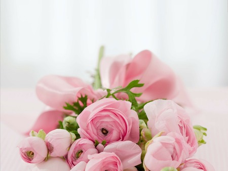 roses-142876_1920
