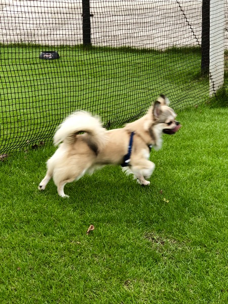 13B24E97-D765-4192-A0B4-EECF876AD2B9