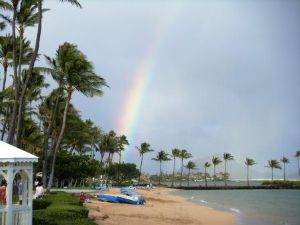 rainbow kahala web