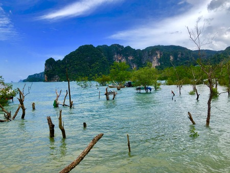 22AD7D4B-30D9-488F-AE8A-BBE3314DE64F