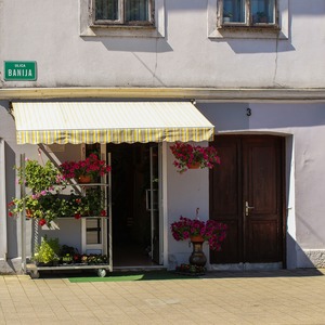 flower-store-527560_1920
