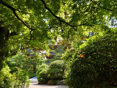 6B229294-EB97-4527-A527-D36ACE279F12