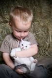 boy-and-kitten-1small