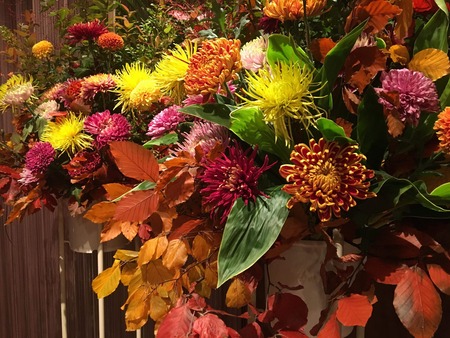 C251012A-AFED-4E3C-9881-701588F42689