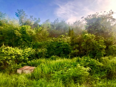 CEAC290B-5EFB-403A-8CF2-785B3E468490