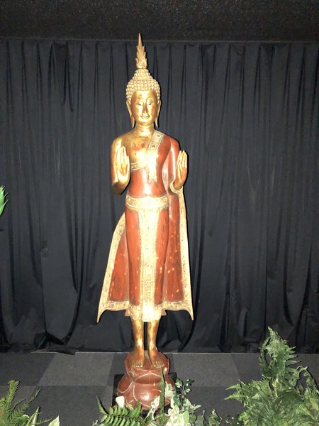 DDB68172-D29E-41A2-9C48-DDB4AA37FF2A