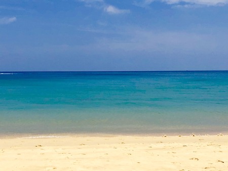 93CC3484-7C61-4925-B20D-841100D6C82F