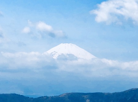 FFDAC9BB-3311-4E1F-9B1F-B4B6D406A018