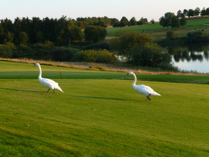 ��Ļ������󥺡�ͼ���