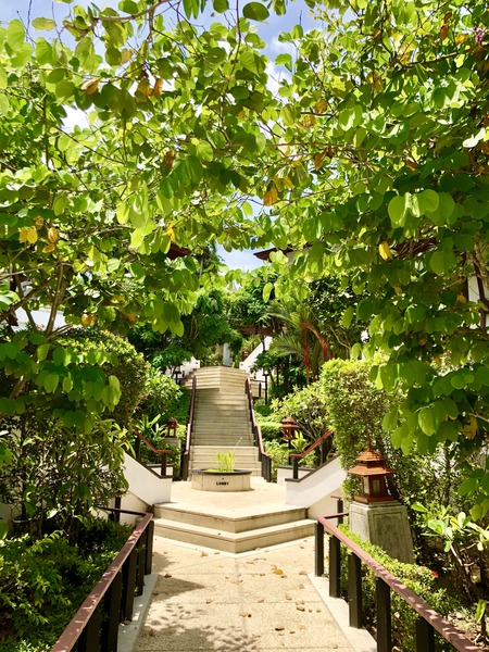 76BBCA37-3BEE-4CD5-B3FE-6093C90B0878