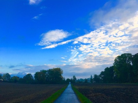 D3703C1D-95D6-46EF-95B7-8A973BB5BF99