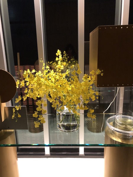 j8Q9bgxoSP+jgTwh541sHA