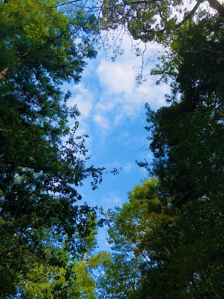 EB5A4247-8214-420C-91EE-D6A8BC35B0FA