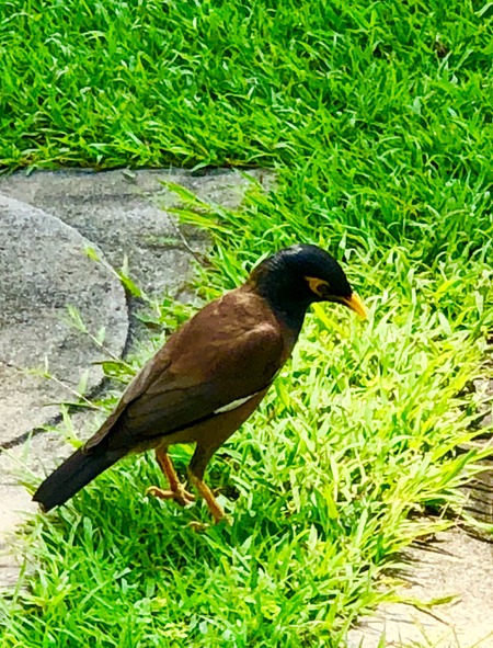 F5F39268-01CB-4CB6-9251-B9683133486C