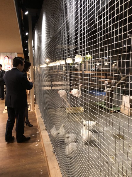 E8946059-BFD3-4ADD-AD3A-6693CBA323CC