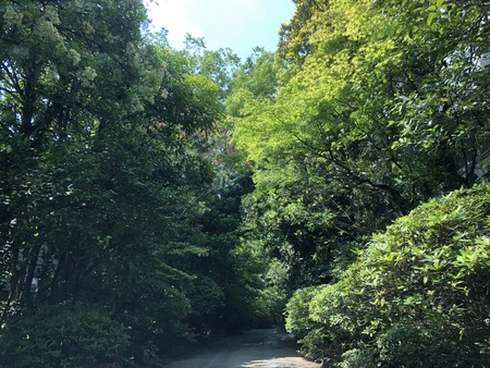 9028EB59-54BB-4AF1-8584-7A8E5F75AE2A